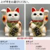 Mèo thần tài giơ tay trái